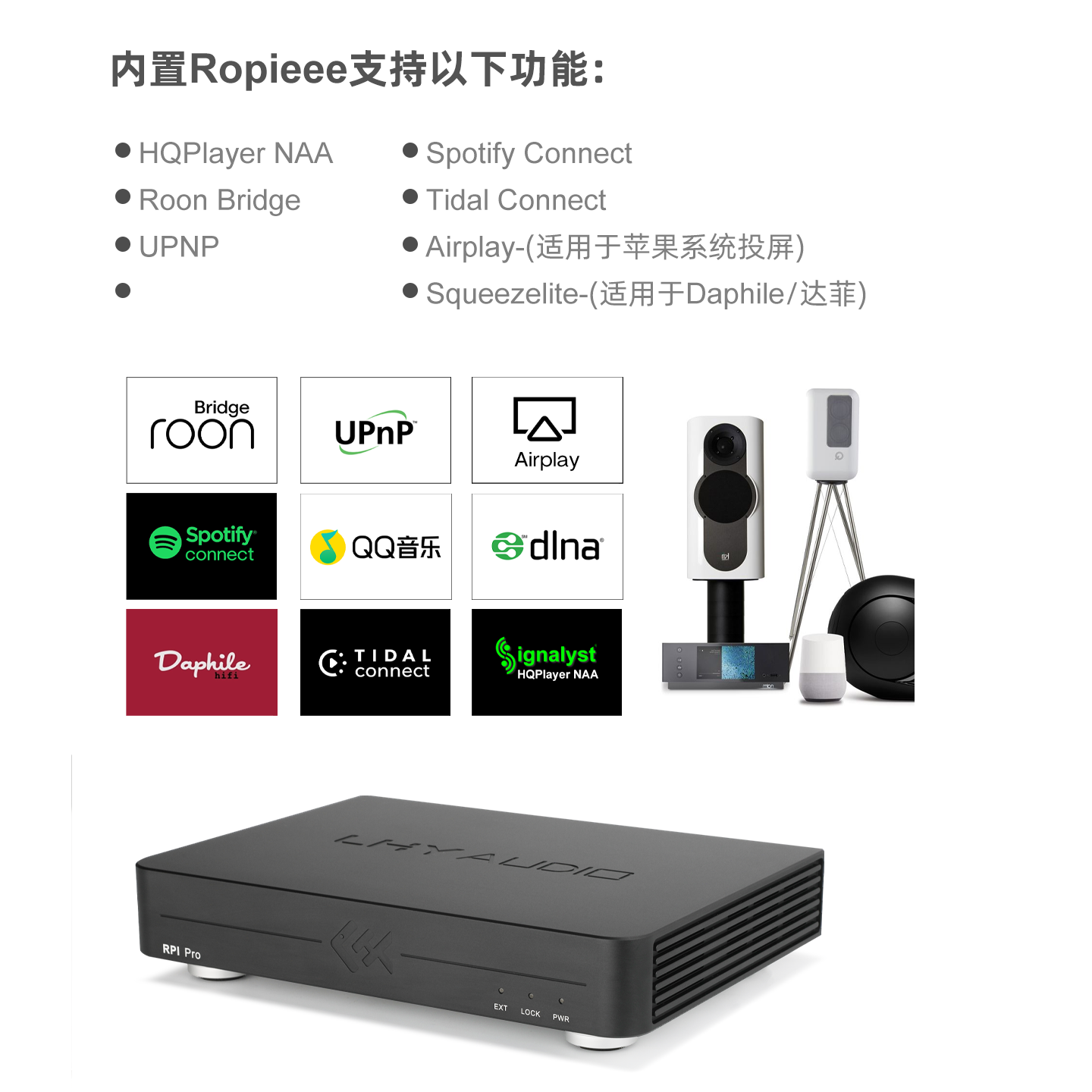 타이거 피쉬 오디오 RPI 프로 스트리밍 디지털 뮤직  - Audio Music Network 리뷰 및 가격