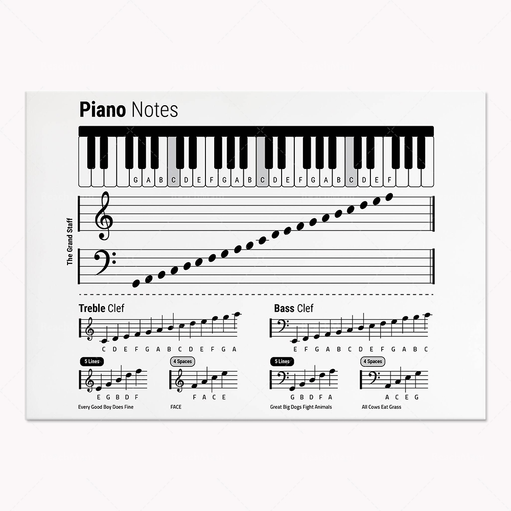 기타 이론, 피아노, 오디오 스펙트럼, 20Hz ~ 2 - Audio Into Music Sheet 리뷰 및 가격